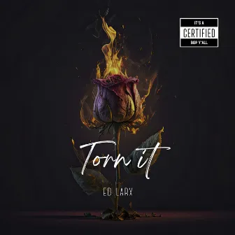 Torn It by Ed Larx