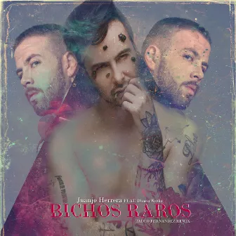 Bichos Raros (Remix) by Juanjo Herrera