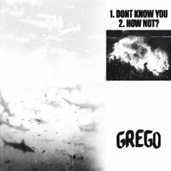 DON'T KNOW YOU by Grego