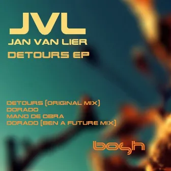 Detours by Jan Van Lier