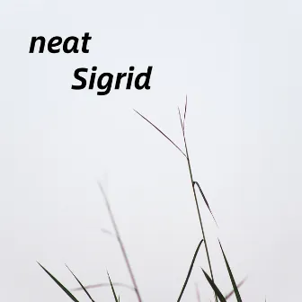 neat by Sigrid