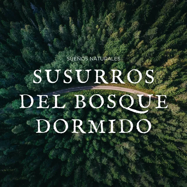 Sueños Debajo De Los Árboles