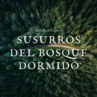 Susurros Del Bosque Dormido: Sueños Naturales by La fuga del bosque