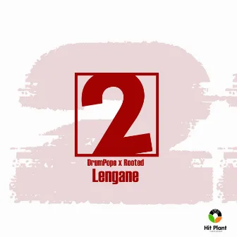 Lengane by Rooted