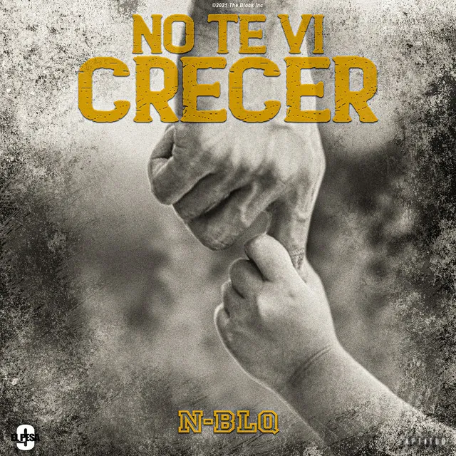 No Te Vi Crecer