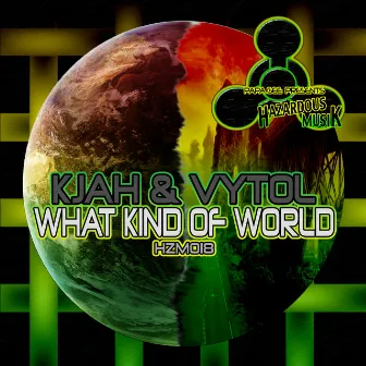 What Kind Of World by Vytol