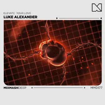 Elevate Your Love by Luke Alexander