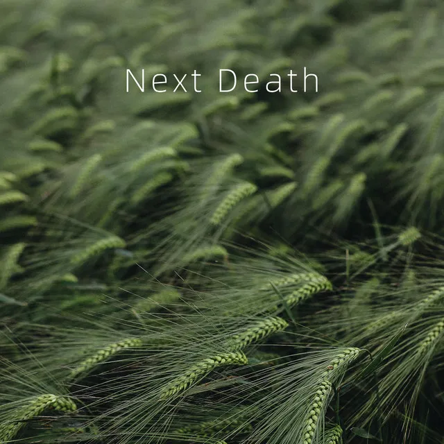 Next Death