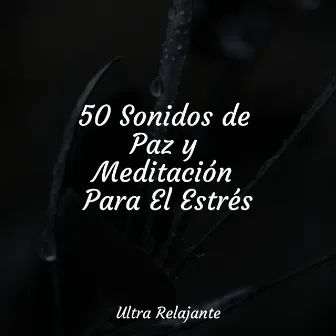 50 Sonidos de Paz y Meditación Para El Estrés by Meditação Zen