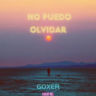 No Puedo Olvidar by Goxer