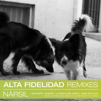 Alta Fidelidad (Remixes) by Nársil