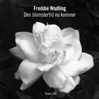 Den Blomstertid Nu Kommer by Freddie Wadling