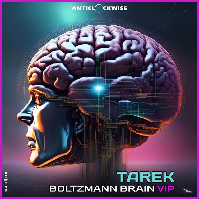 Boltzmann Brain - VIP