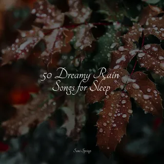 50 Winter Rain Sounds by Lluvia PQ