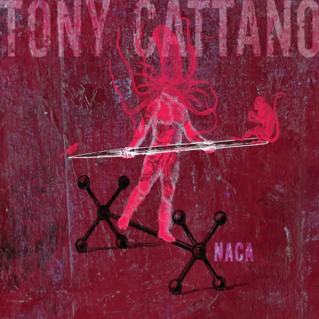 Tony Cattano