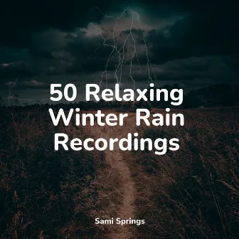 50 Ambient Rain Sounds: Natural Rain by Echoes Of Nature