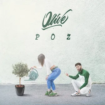 Olive by Poz