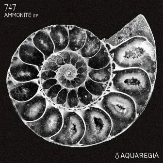 Ammonite EP by 747