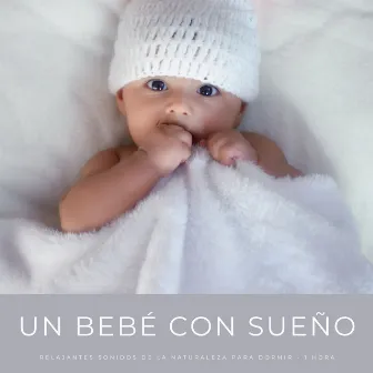 Un Bebé Con Sueño: Relajantes Sonidos De La Naturaleza Para Dormir - 1 Hora by Musica Classica Para Bebes