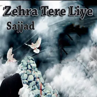 Zehra Tere Liye by Sajjad