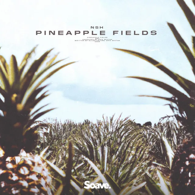 Pineapple Fields