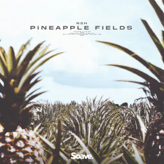 Pineapple Fields by NSH