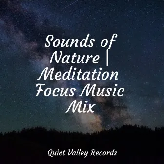 Sounds of Nature | Meditation Focus Music Mix by Shakuhachi Sakano