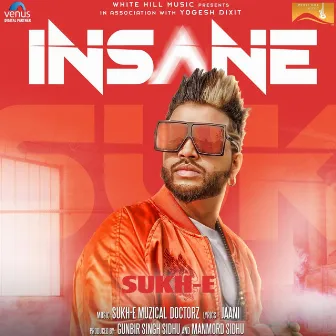 Insane by Sukh-E Muzical Doctorz