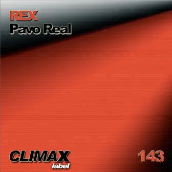 Pavo Real by Rex