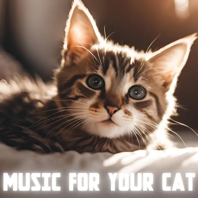 Science Based Music for Cats