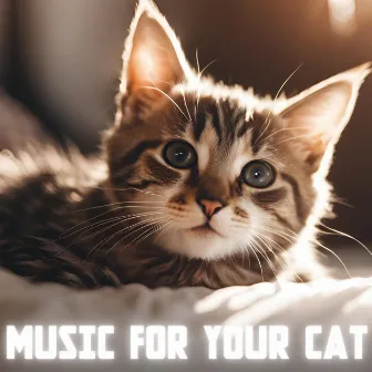 Science Based Music for Cats by Music Scientifically Proven for Deep Sleep