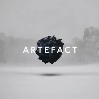 Artefact by Tom Hodge