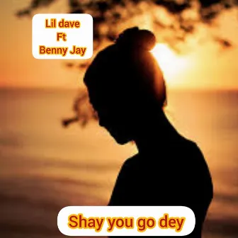 Shay you go dey by Lil Dave