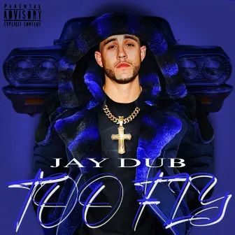 Too Fly by Jay Dub