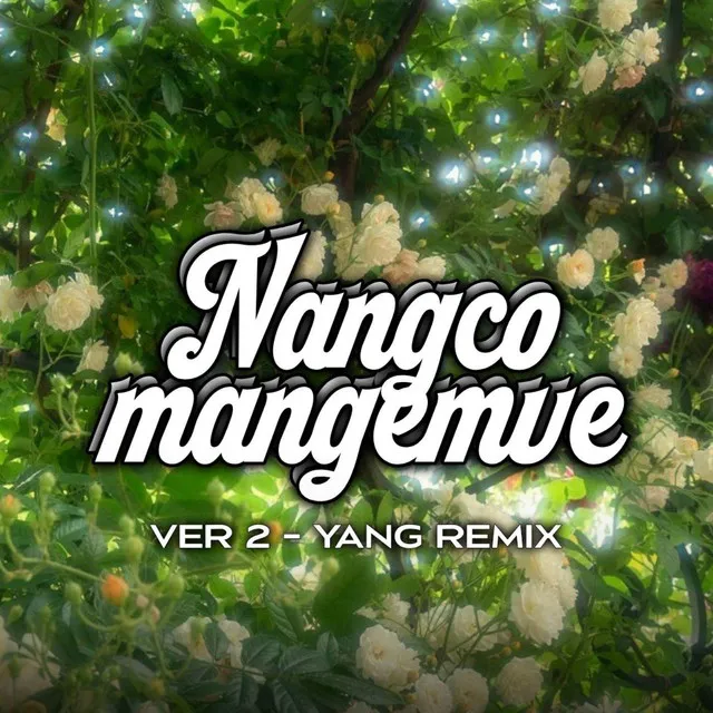 Nắng có mang em về (Yang Remix Ver. 2)