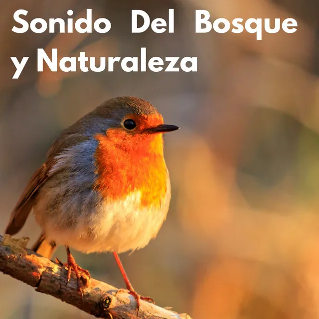 Sonidos del Bosque