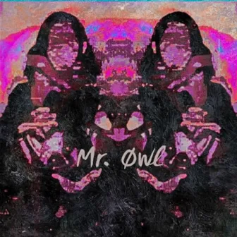 Visions by Mr. Øwl