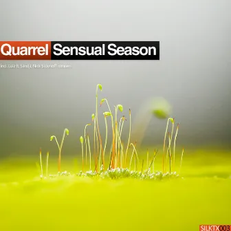 Sensual Season by Quarrel