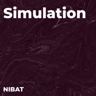 Simulation by NIBAT