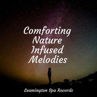 Comforting Nature Infused Melodies by Nature Sounds