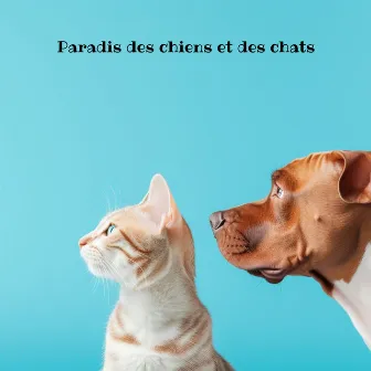 Paradis des chiens et des chats : musique thérapeutique relaxante pour des animaux heureux by 