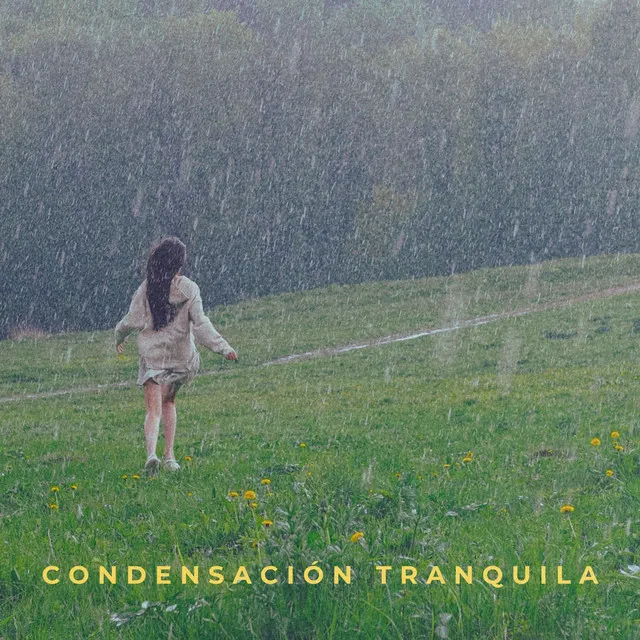 Sonidos De Lluvia Meditativa