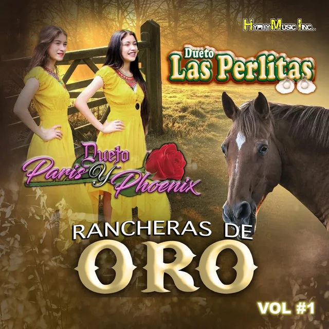 Rancheras de Oro , Vol. 1