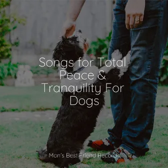 Affirming Music Ambient Melodies | Complete Relaxation For Dogs by Pet Care Music Therapy