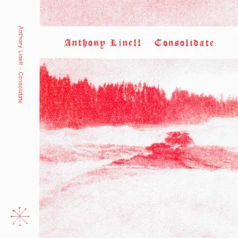 Consolidate by Anthony Linell