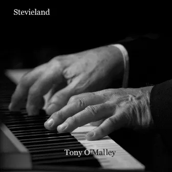 Stevieland by Tony O'Malley