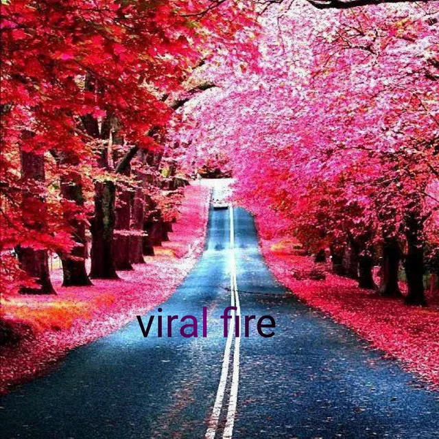 Viral Fire