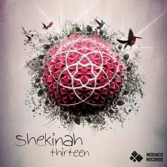 Thirteen by Shekinah