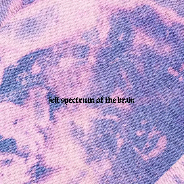 Cerebrum