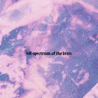 Cerebrum by Left spectrum of the brain